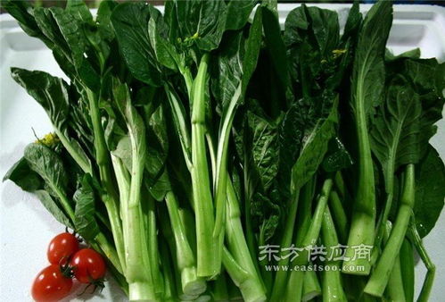 工廠膳食配送公司 南城公司 鮮津悅專業(yè)服務(wù)圖片